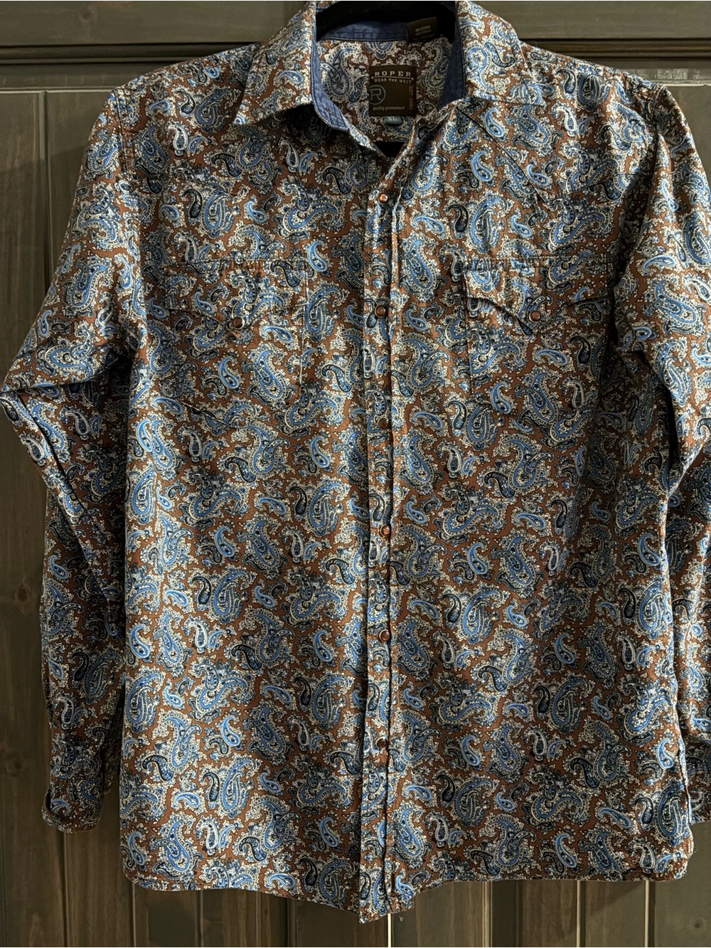 Roper Men's Paisley Button-Down Shirt in Blue and Brown